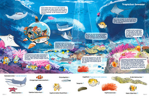 
                  
                    Hidden Objects Aquazoo 
                  
                